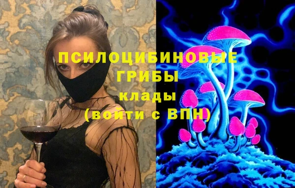 дживик Лагань