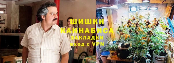 дживик Лагань