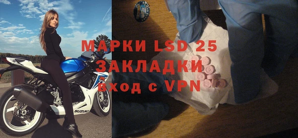 прущие грибы Лиски