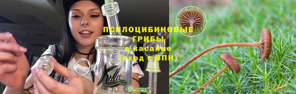 первитин Ладушкин