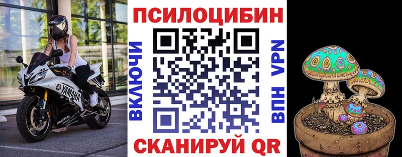 kraken ONION  Мантурово  Псилоцибиновые грибы Cubensis 